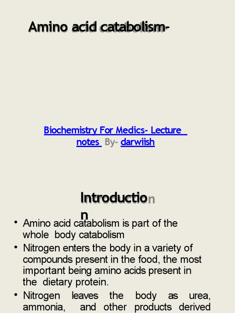 Amino Acid Catabolism Overview | PDF | Transaminase | Alanine Transaminase