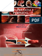 Desarrollo prenatal y perinatal