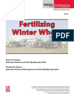 Fertilizing Winter Wheat
