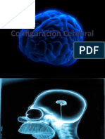 Configuración Cerebral