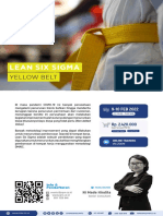 Lean Six Sigma Yellow Belt