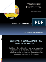 451631056 Capitulo II Estudio de Mercado PDF