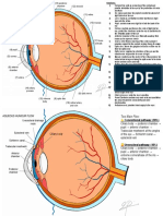 ANATOMY OF THE EYE (Pineda, Immah)