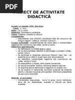 Proiect Didactic Dirigentie Vera