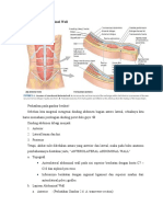 Anterior Abdominal Wall