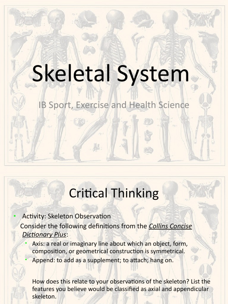 Skeletal System IB Sport, Exercise and Health Science PDF
