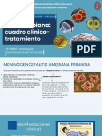 Semana 4 - Mec Por Amebas - Velasquez Santamaria Luis Fernando