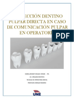 Proteccion Dentino Pulpar Directa