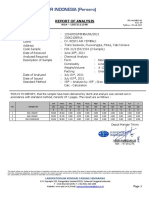 REPORT ANALYSIS LIMESTONE