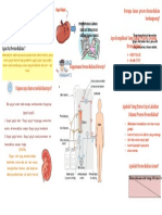 Tugas Leaflet Hemodialisa
