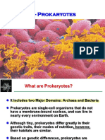 Prokaryotes: Archaea and Bacteria Domains