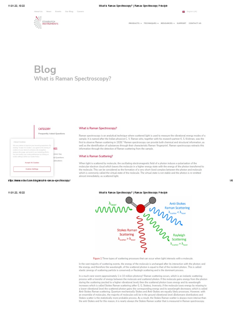 WHAT IS RAMAN SPECTROSCOPY PRINCIPLES OVERVIEW visual data 2