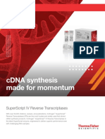 Cdna Synthesis Made For Momentum: Superscript Iv Reverse Transcriptases