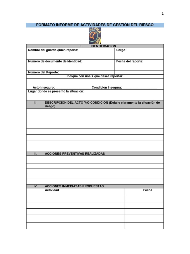 Formato Informe Riesgos Alpha | PDF