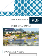 Unit 5 Animals: Subject: Science Year 1 Date and Day: 18 June 2021 FRIDAY Class: 1M