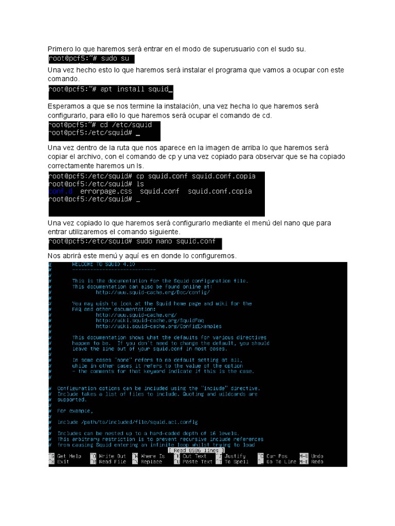 Guía para instalar y configurar software | PDF