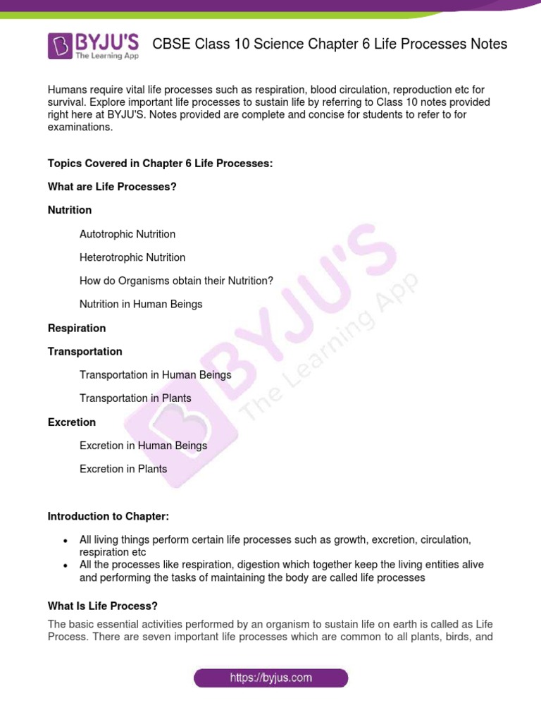 Class 10 Science: Life Processes Notes | PDF | Blood | Lung