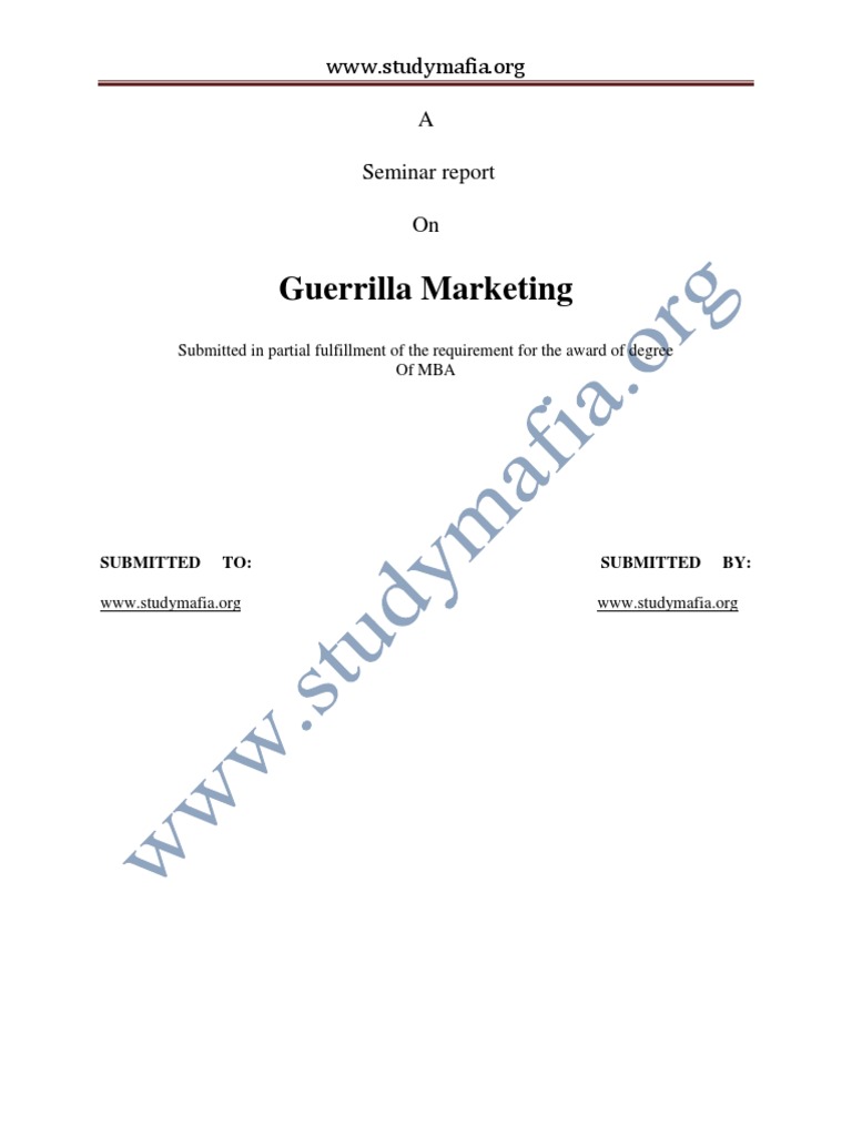 Mba Guerrilla Marketing Report PDF Marketing Target Audience