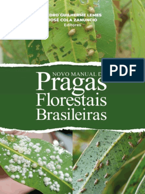 PDF) Perspectivas e Tendências nas Ciências Florestais: uma visão