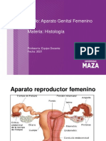 Sistema Reproductor Femenino