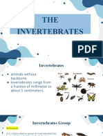 Lesson 2 - Invertebrates
