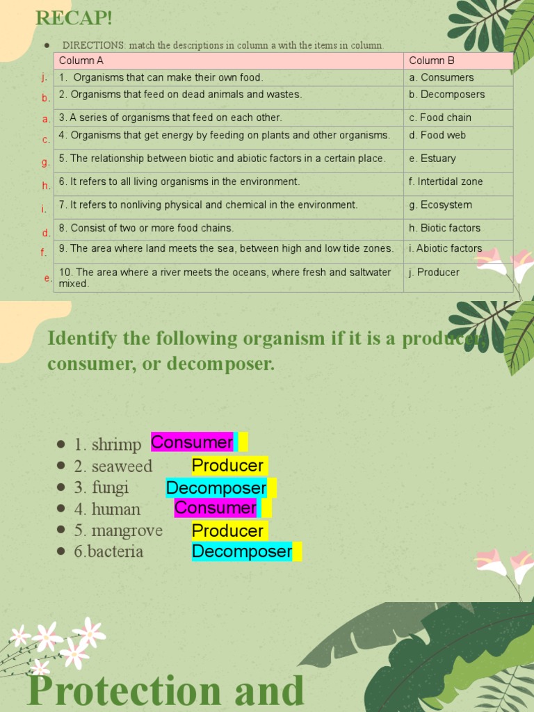 Protecting Estuaries & Intertidal Zones | PDF | Estuary | Natural ...