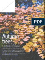 Autumn Trees, The Wonder of Colour
