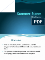 Summer Storm: Silvia Curbelo