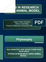 Animal Model and Writing