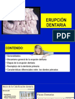 Dentición Última Clase