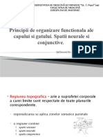 Curs 1 - Principii de Organizare