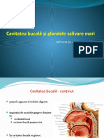 Curs 5 - Cavitate Bucala + Gl Salivare