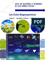 Los Ciclos Biogeoquímicos