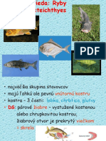 PP - Ryby, Obojživelníky
