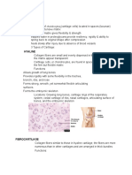 Supporting & Fluid CT