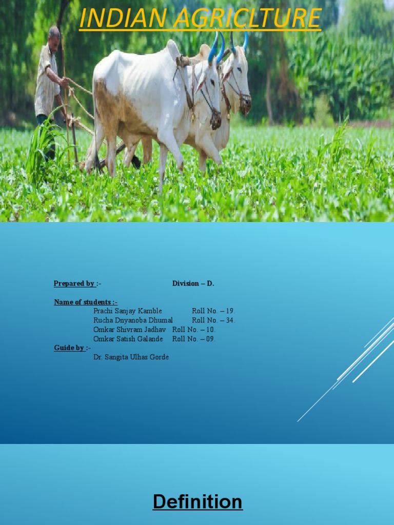 Indian Agriculture Overview & Insights | PDF | Agriculture | Green ...