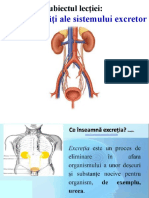 Eliminarea Deșeurilor Din Organism. Particularitățile Sistemului Excretor