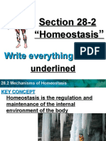 28-2 Homeostasis