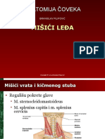 Misici Ledja