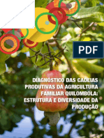 Diagnóstico-das-cadeias-produtivas-da-agricultura-familiar-quilombola-estrutura-e-diversidade-da-produção
