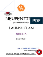 Launch Plan