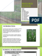 Reed Bed System FINAL