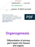 Organogenesis: A Brief Account