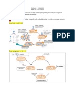 Tugas Biologi 3