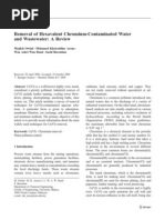 Download Removal of Hexavalent Chromium-Contaminated Water by Yannis Thomas SN55541381 doc pdf