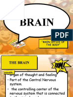 Brain: "Main Office of The Body"