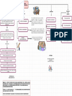 Mapa Proceso Administrativo - Drawio