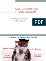 Aula Patologia Veterinária