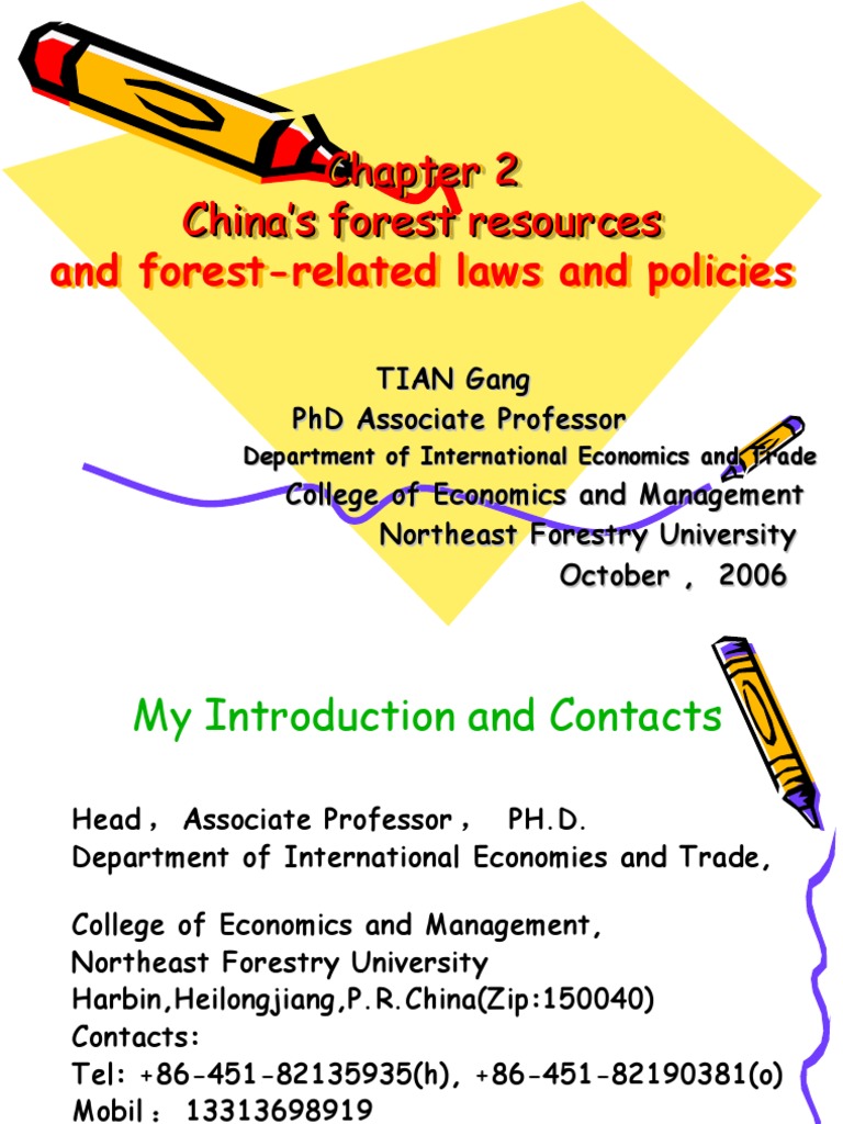 China S Forest Resources Pdf Forestry Forests