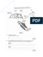 Form 5 Chapter 3